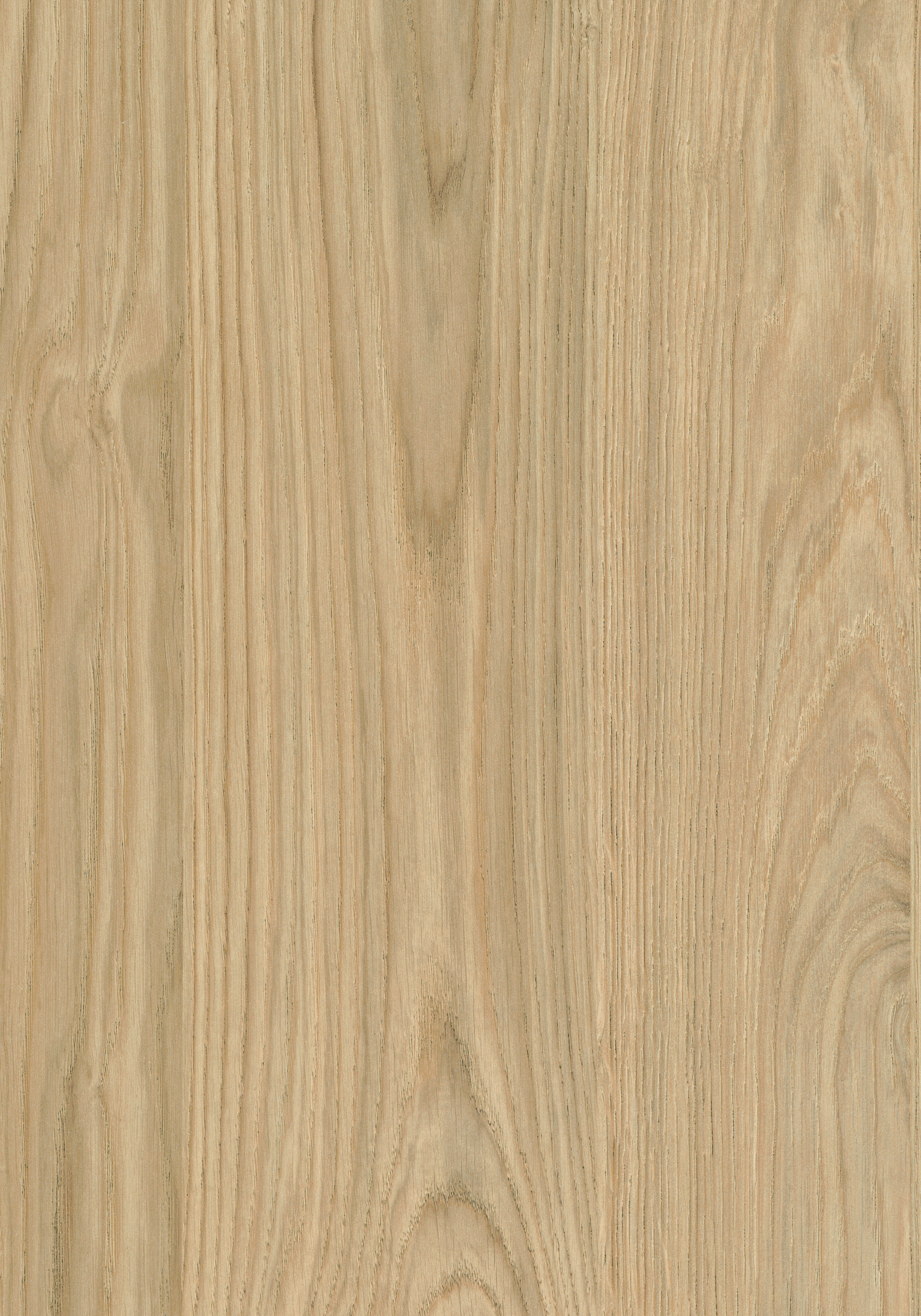 Casella Oak